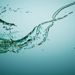 Fluid