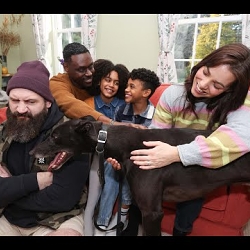 Adopt a Sporting Legend - Greyhound Board of Great Britain