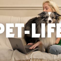 Celebrating Real Pet Life