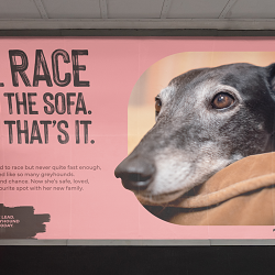 Hound of the Underground