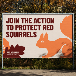 Red Squirrel Awareness Week