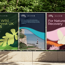 The Wild Summit UK