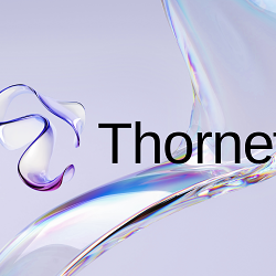 Thornet brand identity design