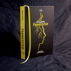 Book Cover and Illustrations for Frankenstein