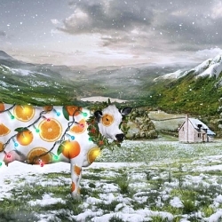 Altrajuce & JuceCow