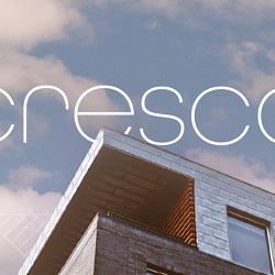 Cresco Brand Identity Creation