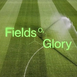 Pilsen Beer • Fields Of Glory