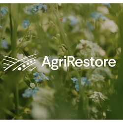 AGRIRESTORE // BRANDING / WEB DESIGN & DEVELOPMENT