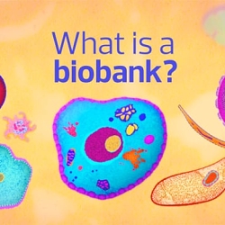 What is a biobank?