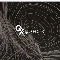 QPHOX // WEB DESIGN & WEB DEVELOPMENT