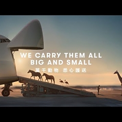 Film Production for Cathay Cargo – “We Carry Them All, Big and Small”