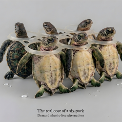 Six-pack