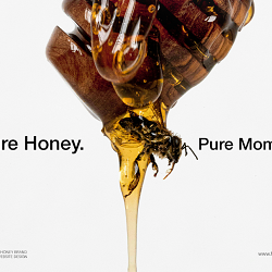 Hivora — Honey Brand Identity & Website Design
