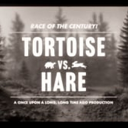 Tortoise & Hare: A New Chapter