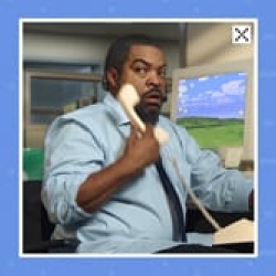 Ice Cube Claims Adjuster