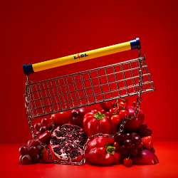 The Trolley Bag