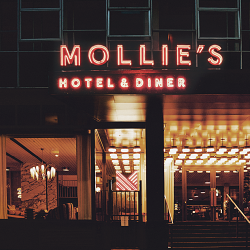 Mollie's brand refresh to support new brand stretch