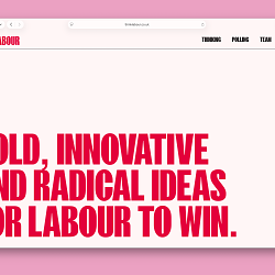 ThinkLabour