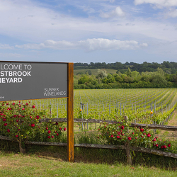 Sussex Winelands