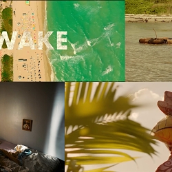 Wake