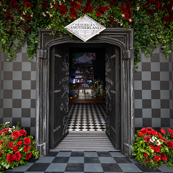 Hendrick's Gin: Anotherland