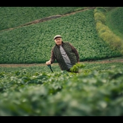 Albert Bartlett Potatoes TVC