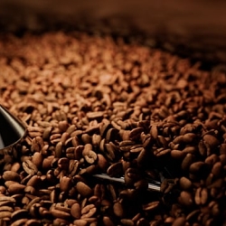 ROEST | Automated Coffee Roaster