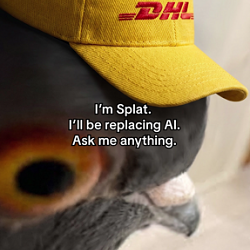 Anti-customer service on DHL eCommerce's TikTok