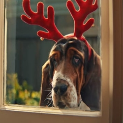 For Every Kind of Christmas