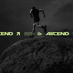 Ascend - Identity | Digital | Content
