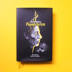 Book Cover and Illustrations for Frankenstein