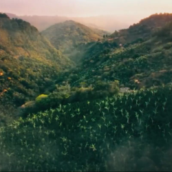 Keurig - Green Mountain