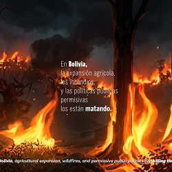 A Tree Isn’t Killed Alone.