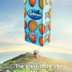Rubicon Light