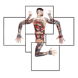 Body Of Art
