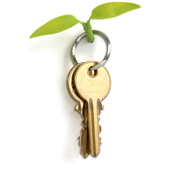 Leaf Hook - Nail Covers