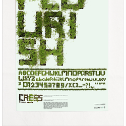 University FMP - Rawtype