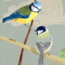 Wildlife illustrations and portraits