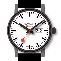 Mondaine Watch Face