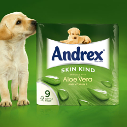 Andrex Toilet Tissue