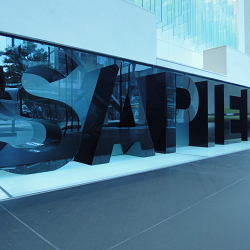 Sapient Branding