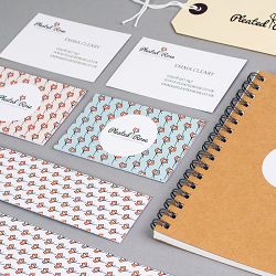 Branding & Identity for Pleated Rose