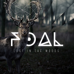 Foal album design