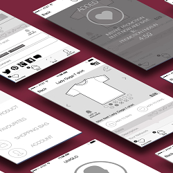 Uniqlo app Concept