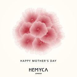 Social Media Visuals for Hemyca