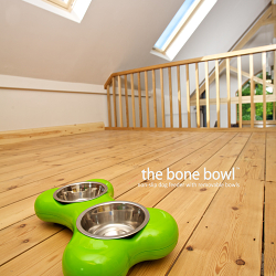 HING - A Pet Product with Sustainable Packaging