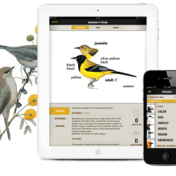 Bird Watching App