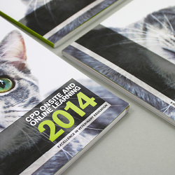 RVC - brochure design