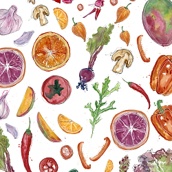 Toast food illustrations