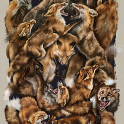 Foxforce